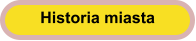 Historia miasta